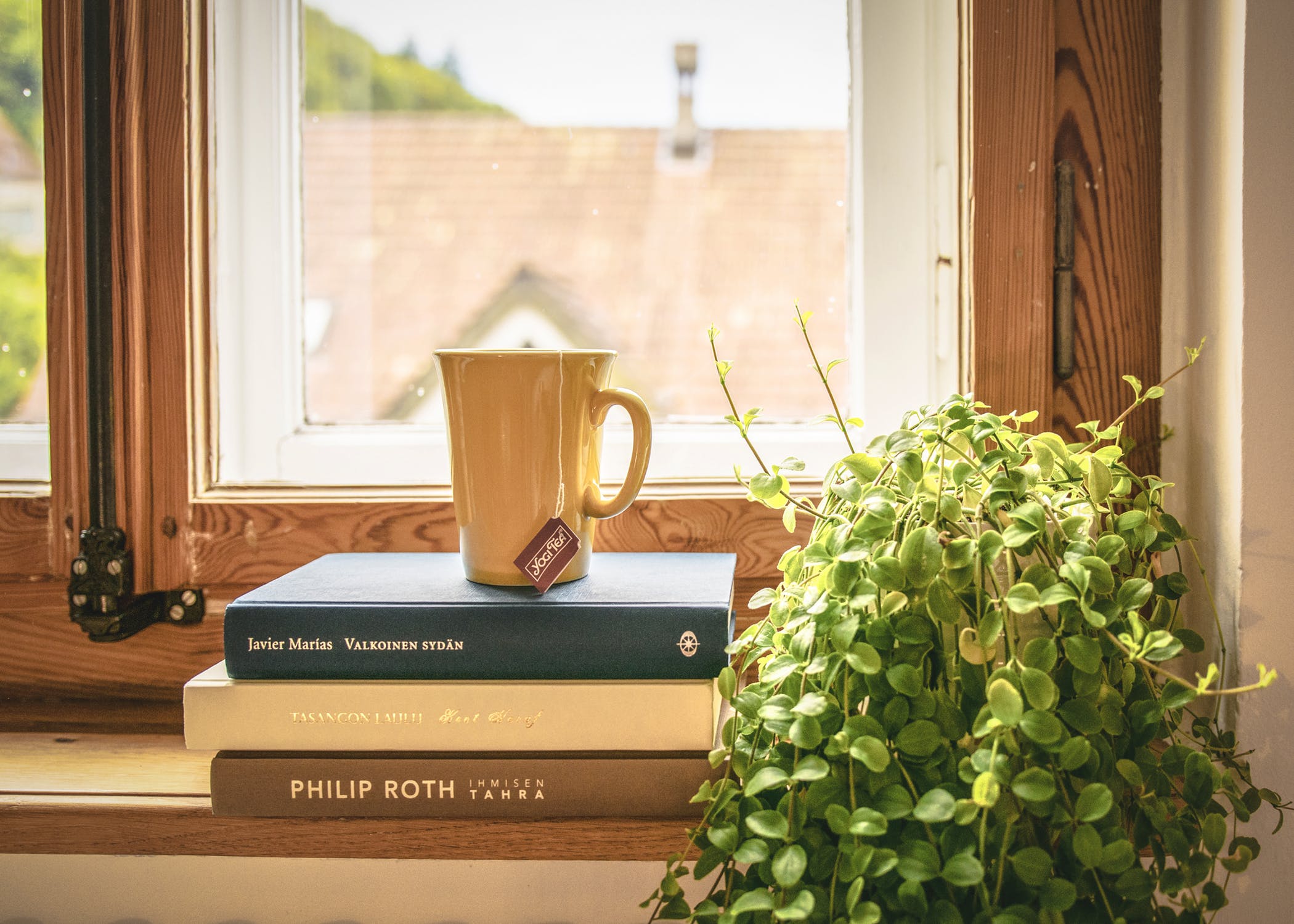 Wooden Windows: Classic, Cozy, and Durable!