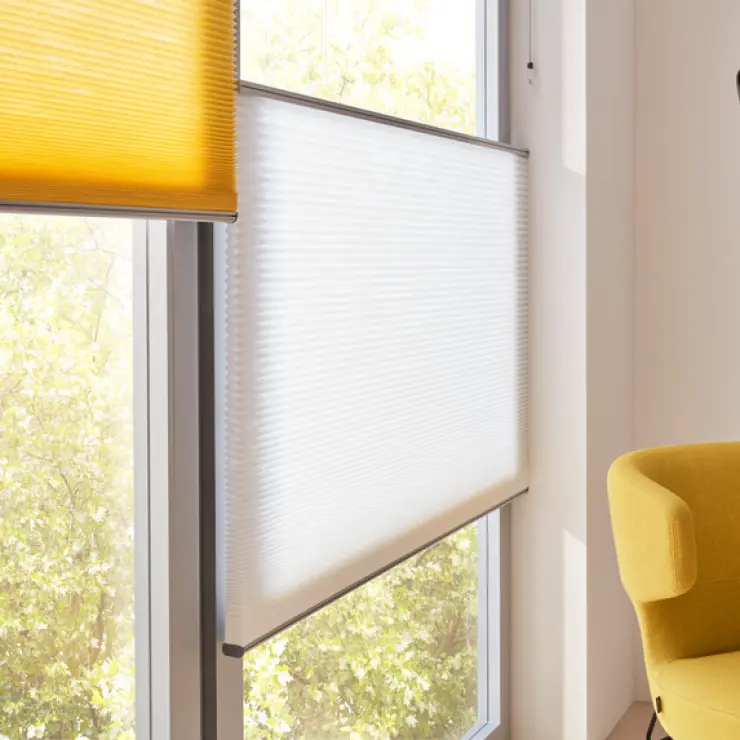 Pleated Blinds
